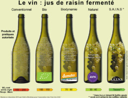 Qu’est-ce qu’un vin nature ?